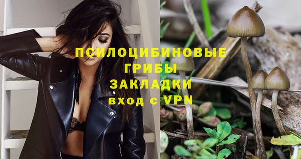 спайс Беломорск