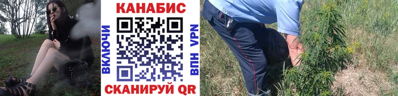 Каннабис Bruce Banner  наркошоп  Новоалтайск 